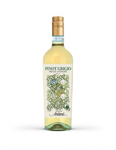 Ville di Antane Pinot Grigio IGT 75cl 12,5%