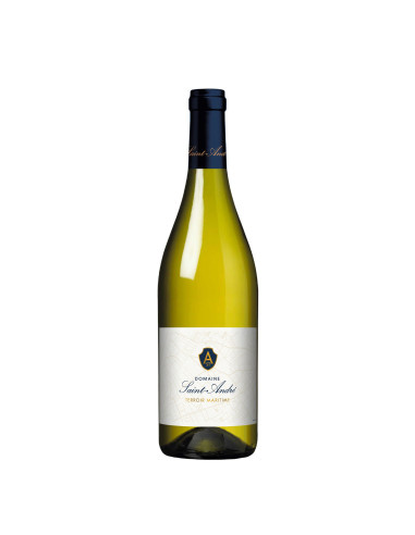 Domaine Saint André Terroir Martime Blanc IGP
