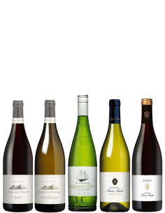 Veinikast "Lõuna-Prantsusmaa"